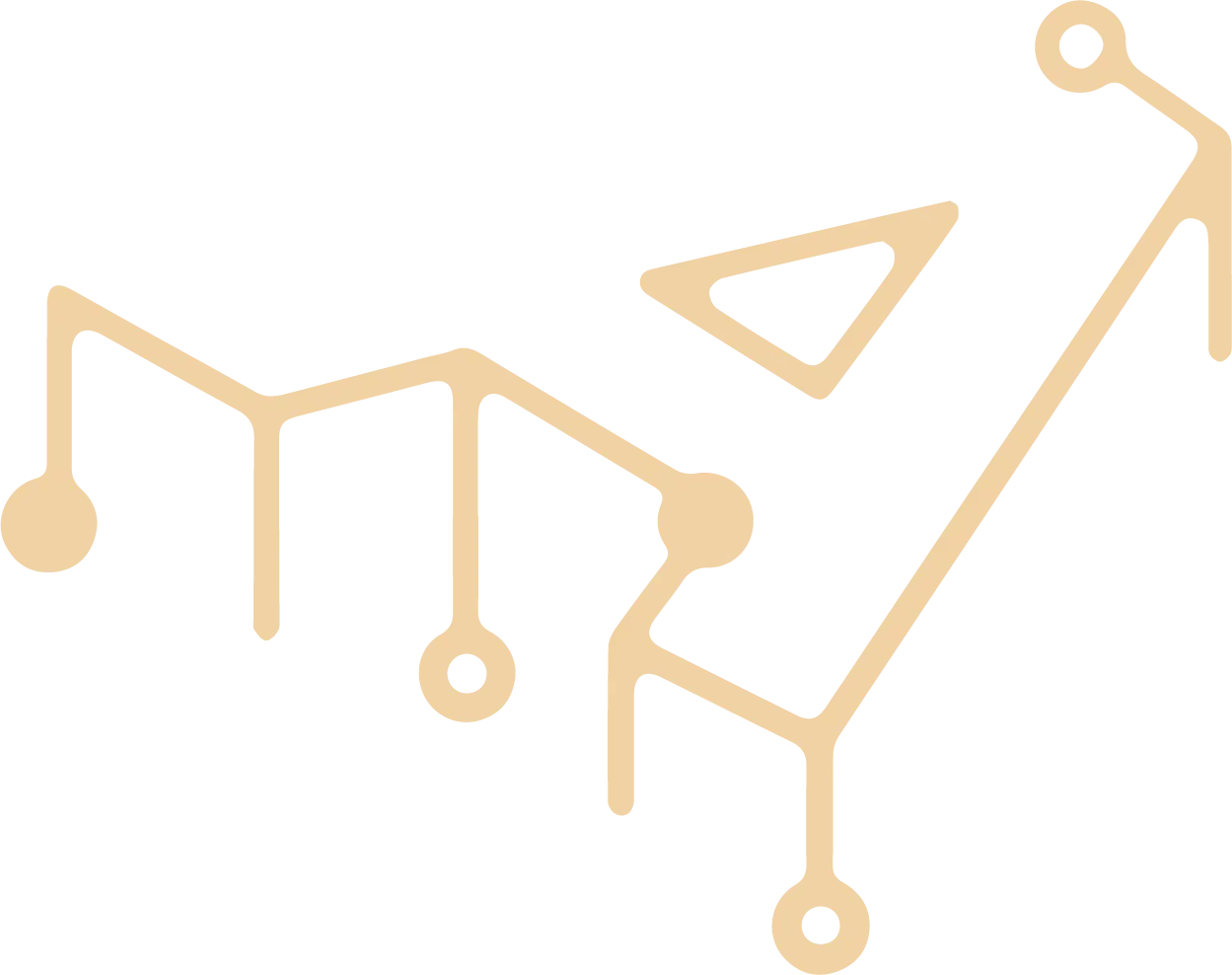 Acticate - Digitizing Businesses